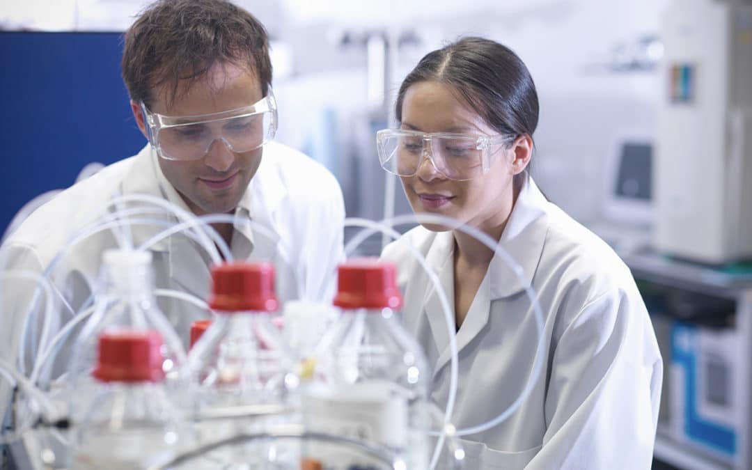 Hepatitis B Virus Infection featured