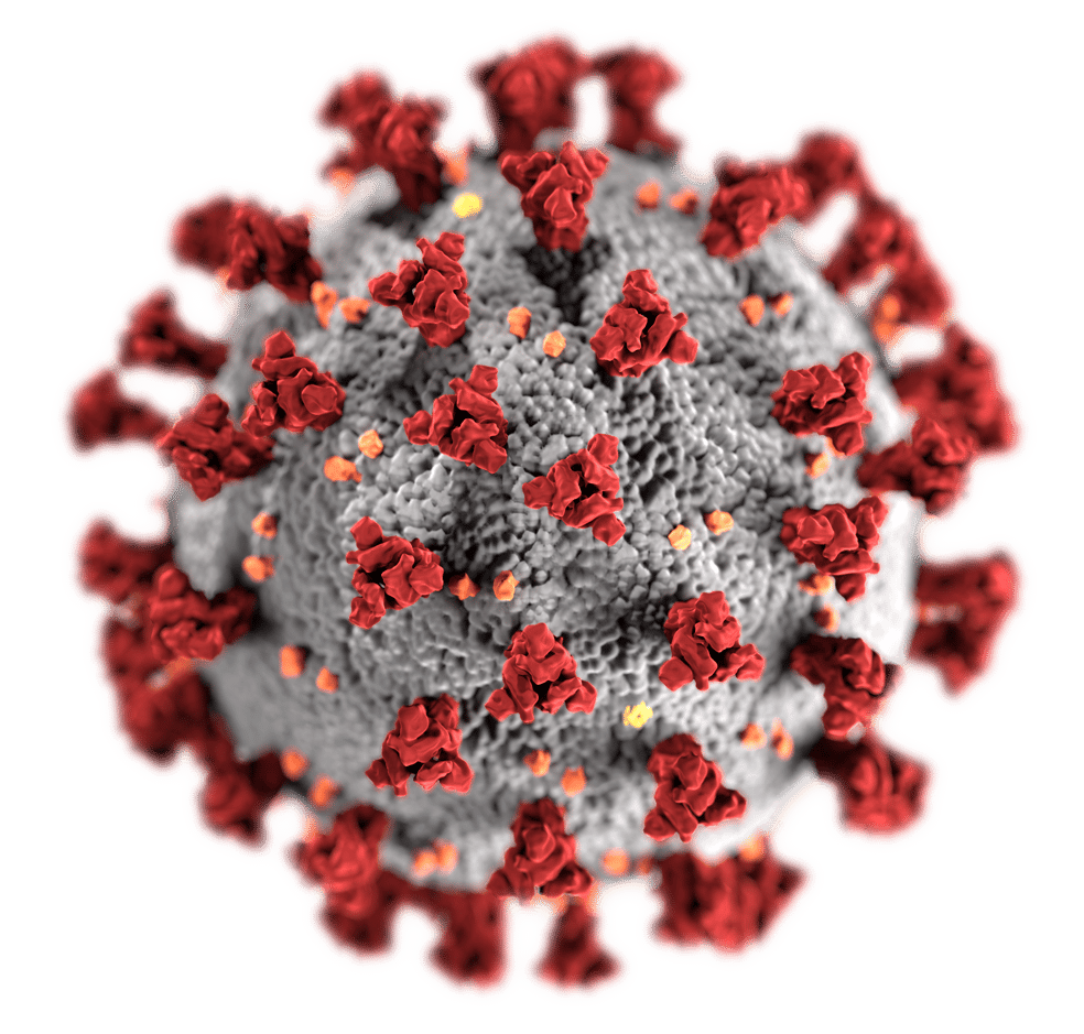 How United Therapeutics leverages metabolomics to get closer to the phenotype increasing confidence in clinical trial decisions