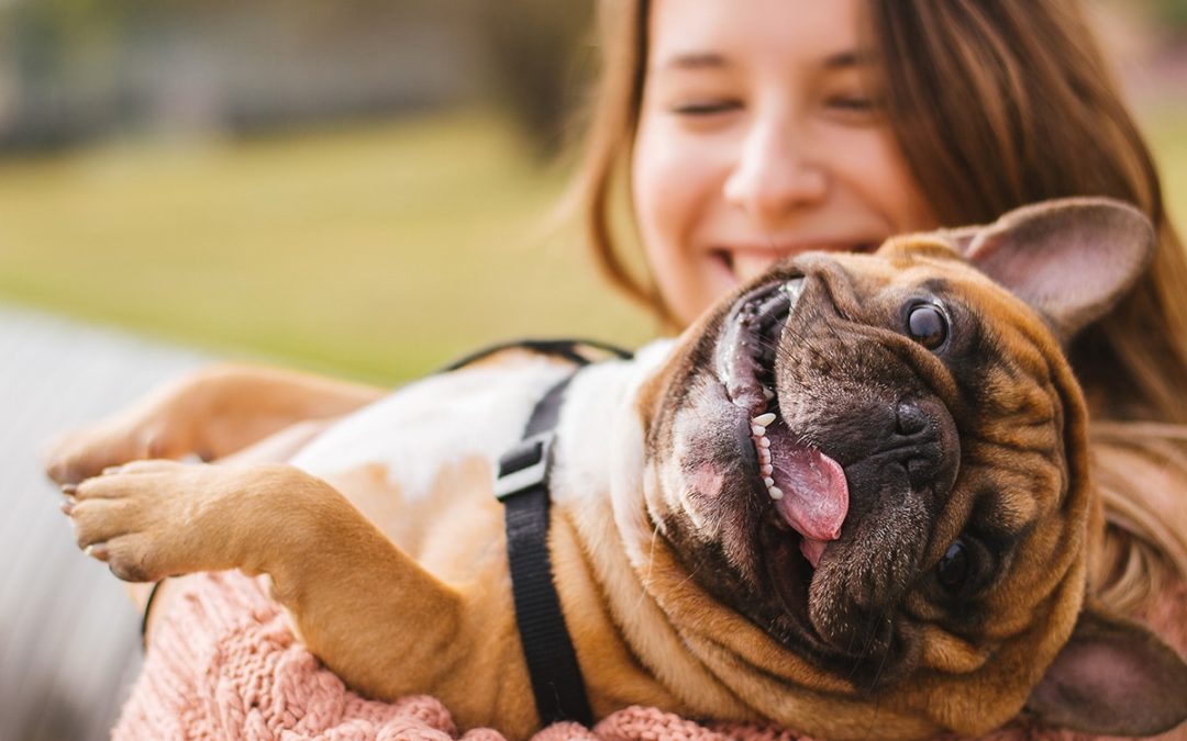 Case study: Dogs With Mitral Valve Disease Have Bioenergetic and Metabolic Readaptations and Reduced Kidney Function