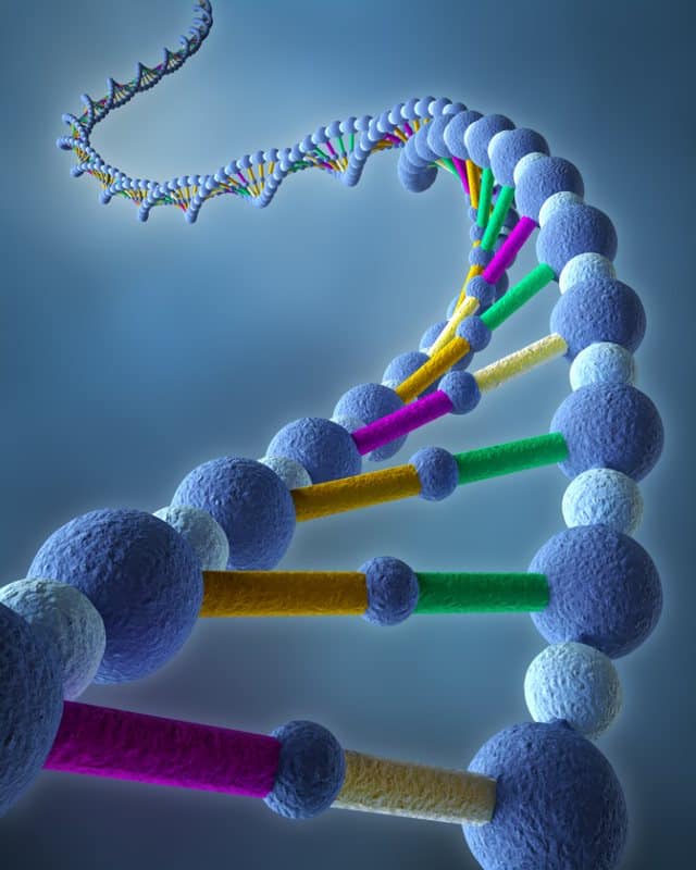How Metabolomic Profiling Can Unlock Gene Function & Provide Biological Insight