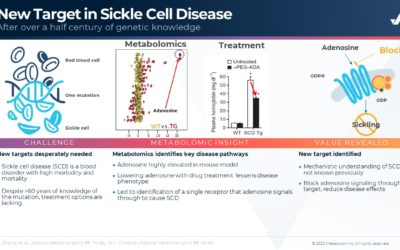 New Target in Sickle Cell Disease