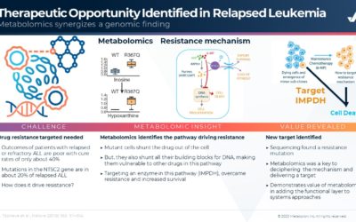 Therapeutic Opportunity Identified in Relapsed Leukemia