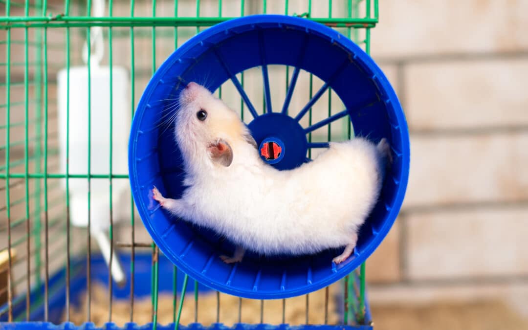 Metabolomics uncovers time-dependent metabolic responses to exercise