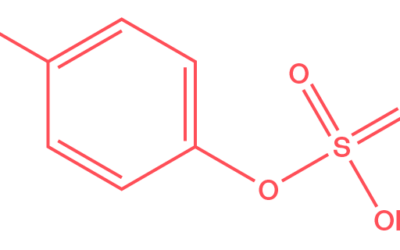 P-Cresol Sulfate