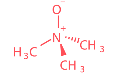 Trimethylamine Oxide