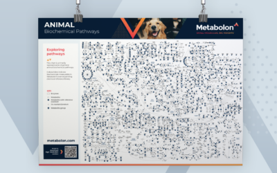 Animal Biochemical Pathways