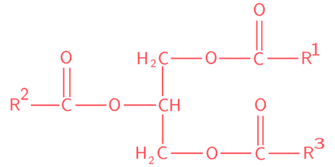 Triglycerides | Metabolon
