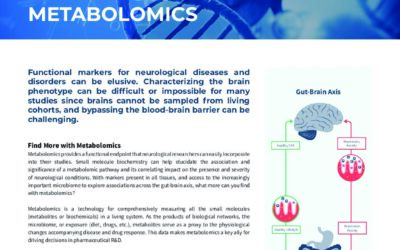 Neuroscience and Metabolomics