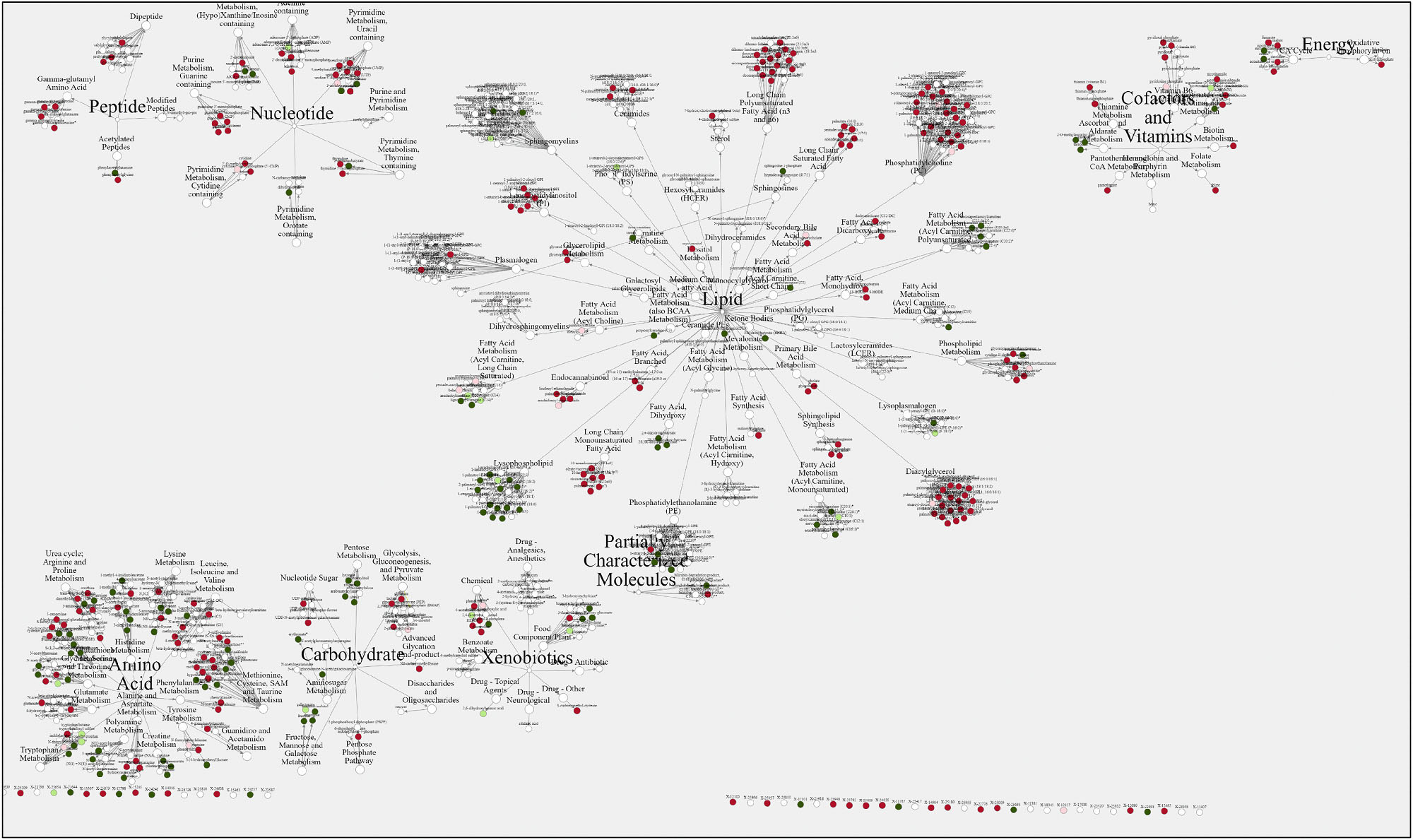 blood metabolomics