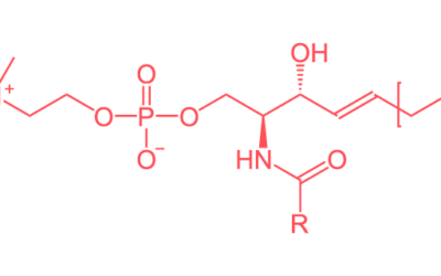 Sphingomyelin