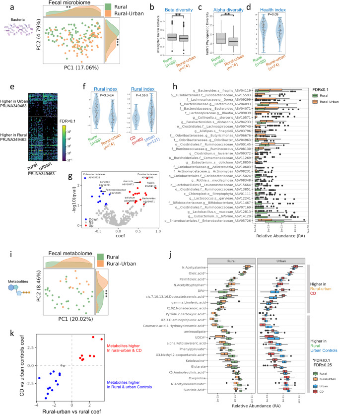 Les modifications du microbiome et du métabolome chez les personnes passant d'un environnement rural à un environnement urbain reflètent les modifications associées à la maladie coeliaque.