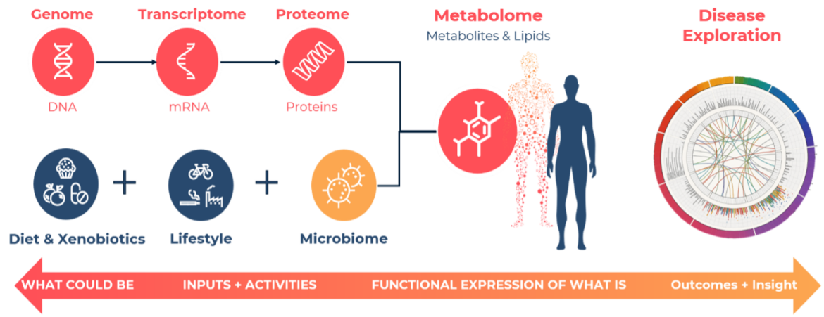 Addressing the Chronic Disease Epidemic: Multiomics as a Powerful Tool ...