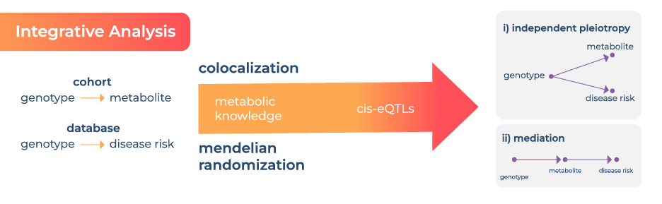 métabolomique académique 2