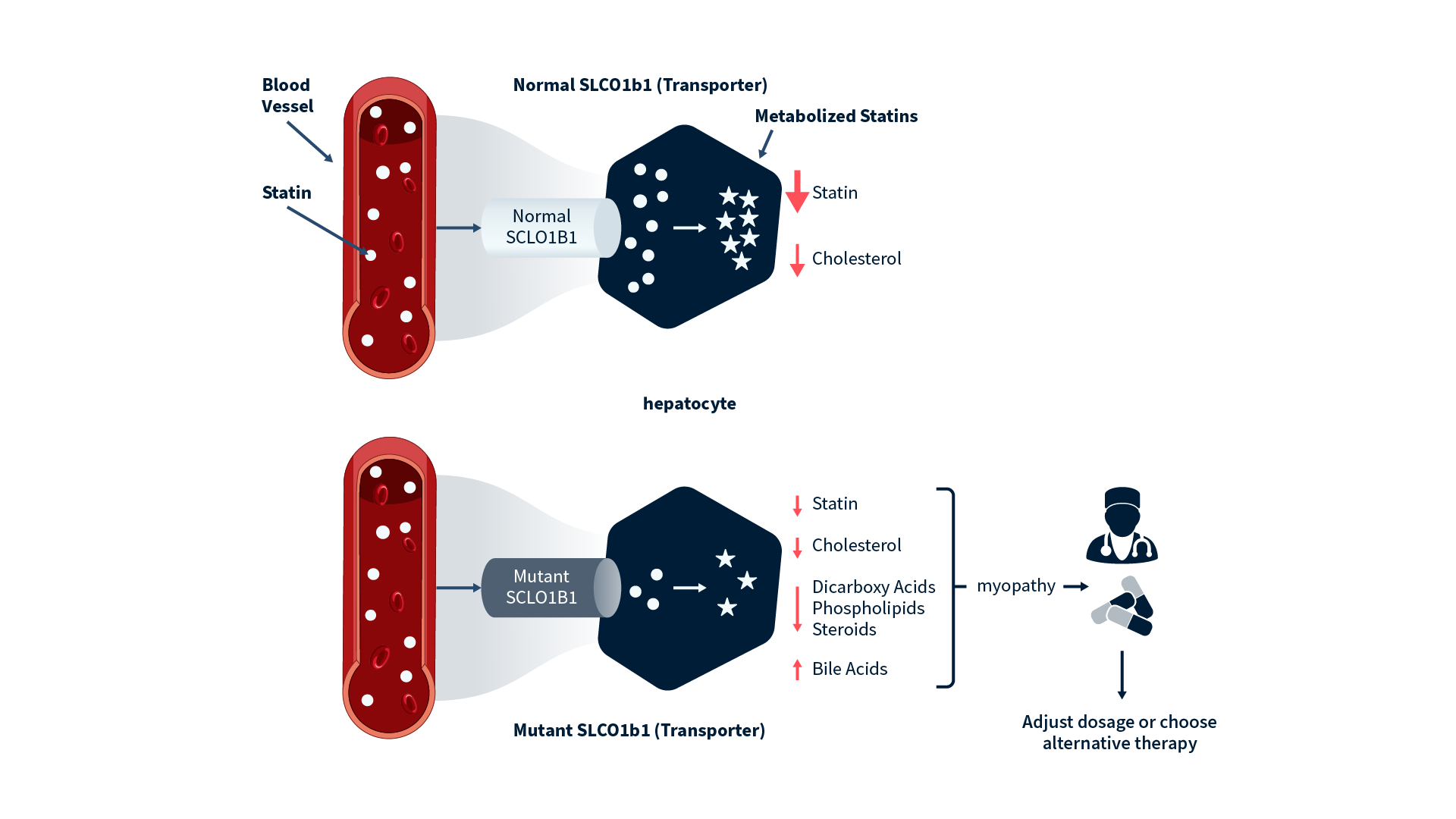 metabolomics academic 2