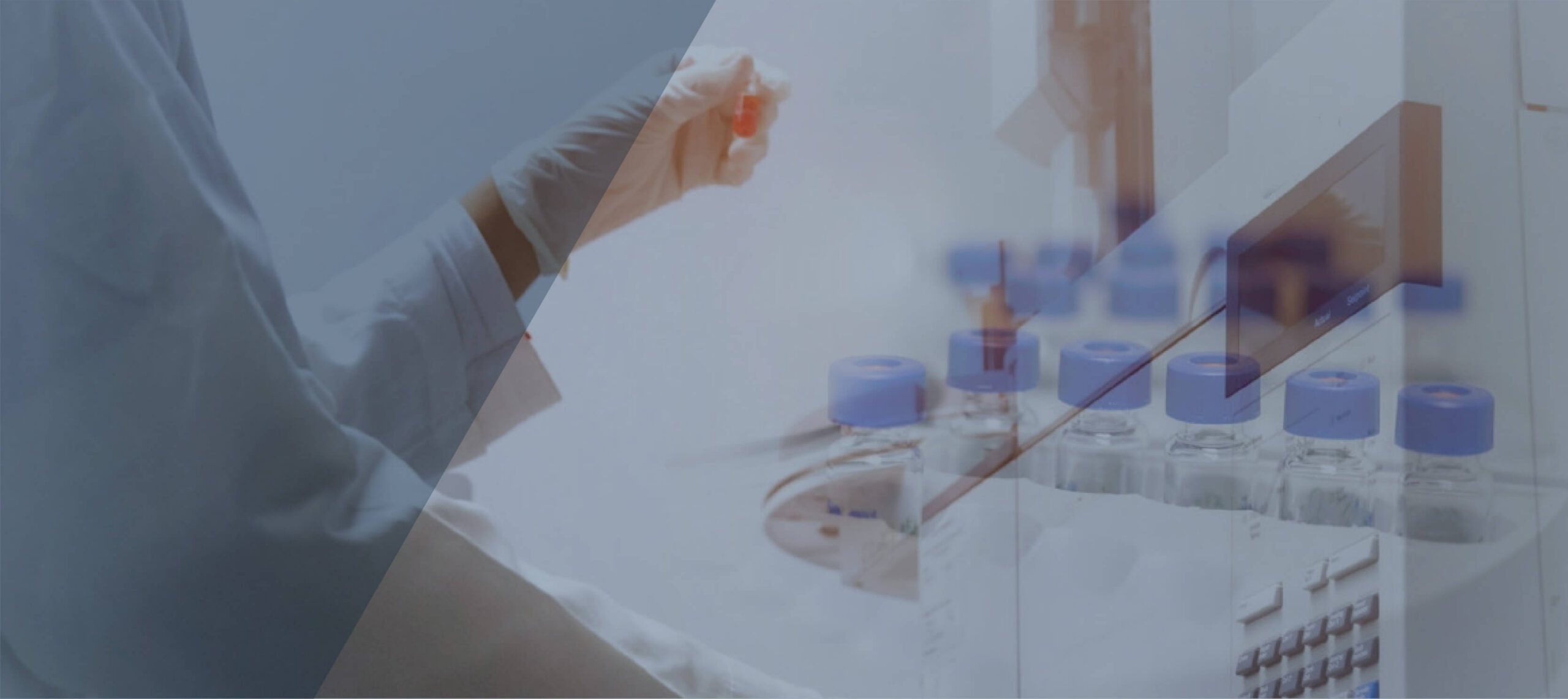 Guide to Metabolomics chapter 1 image