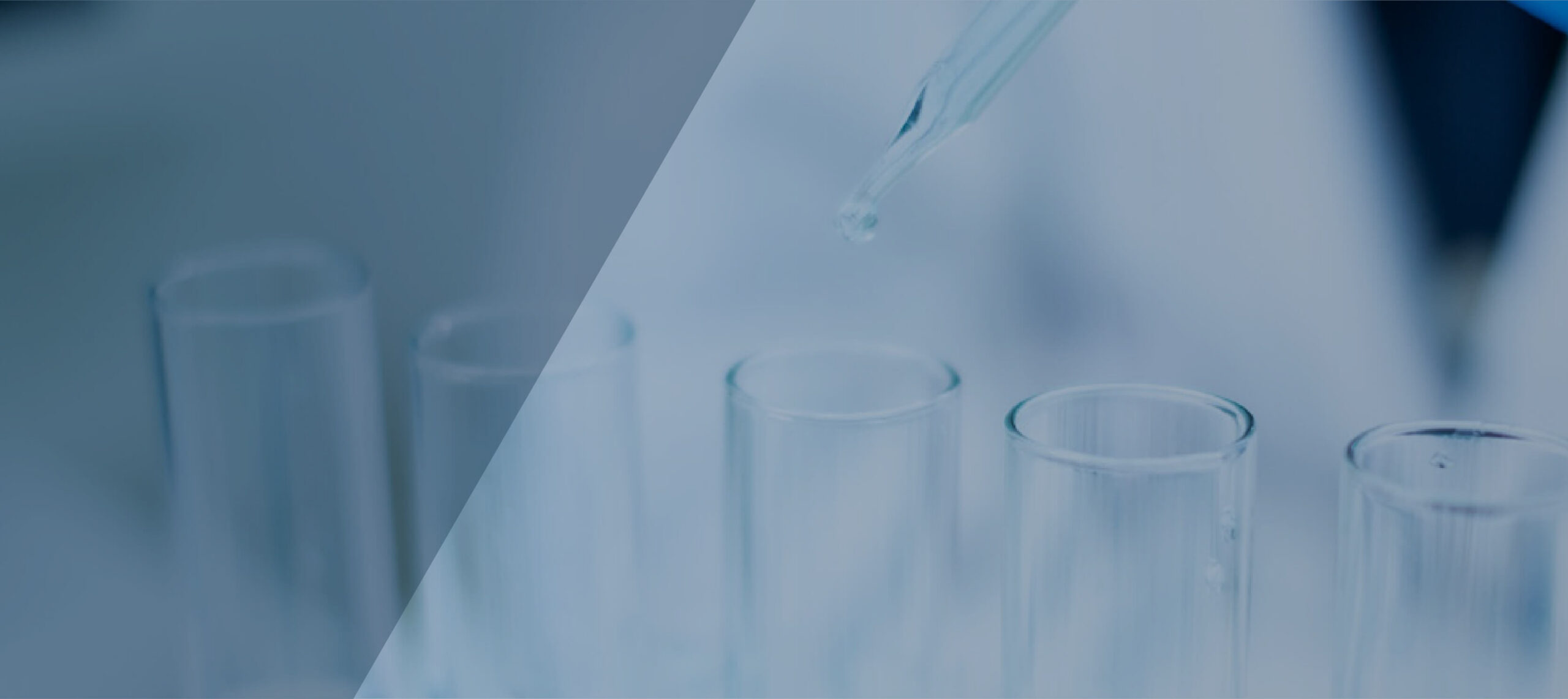 Guide to Metabolomics chapter 2 image