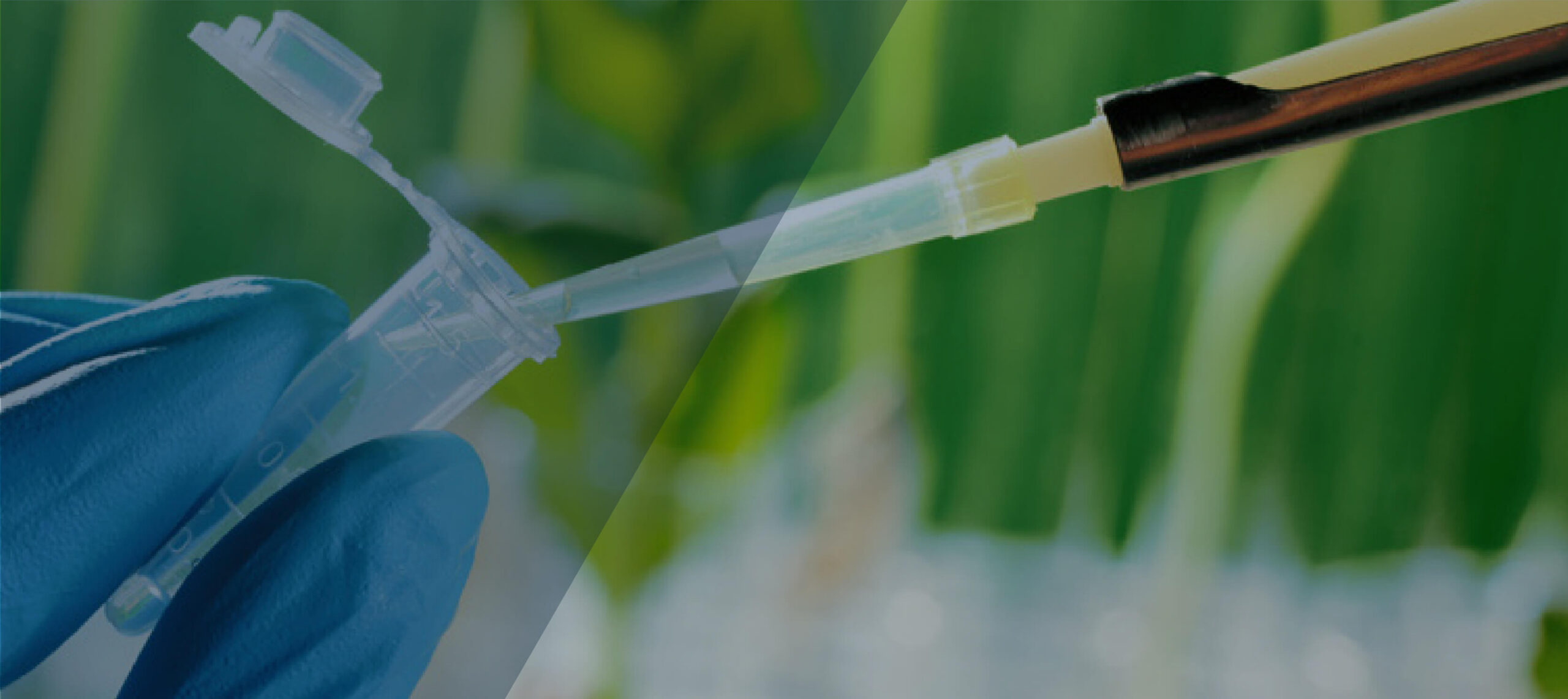 Guide to Metabolomics chapter 3 image
