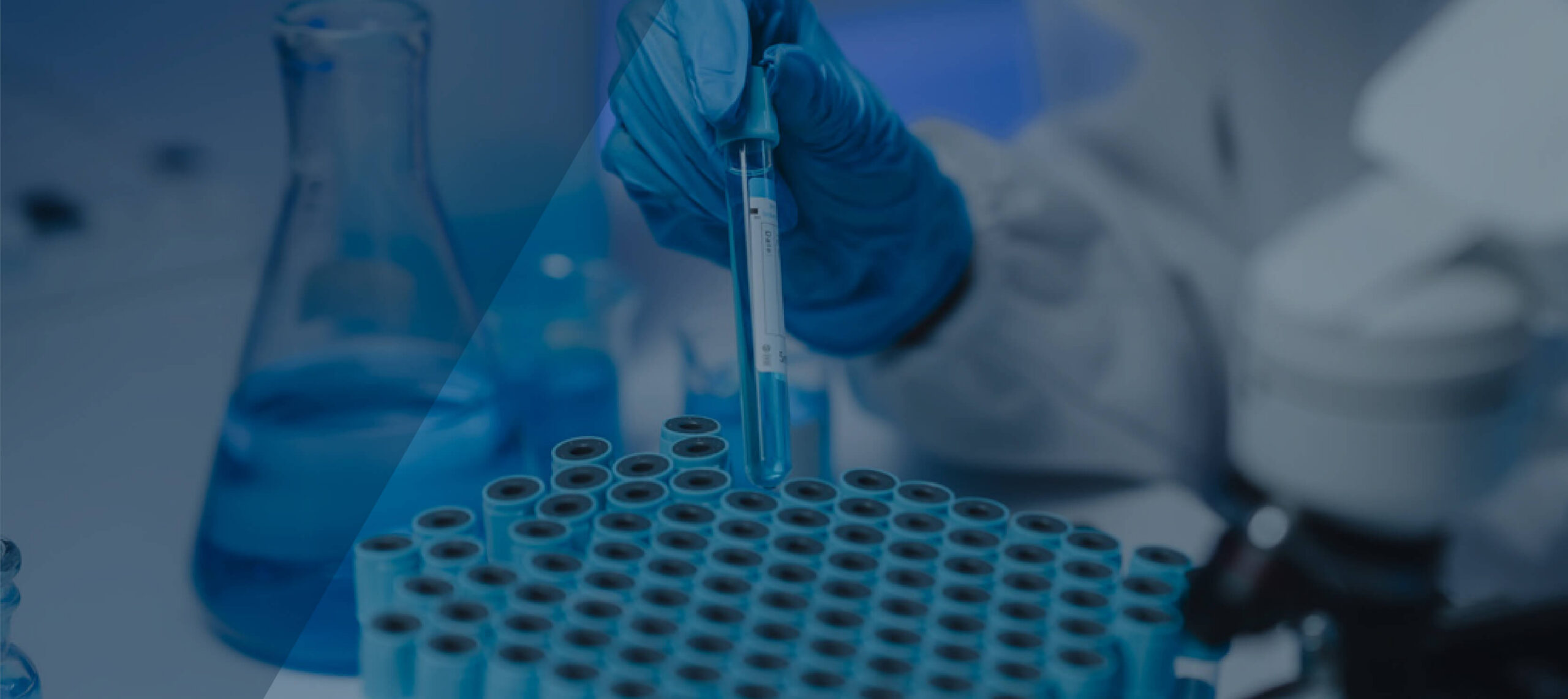 Guide to Metabolomics chapter 5 image