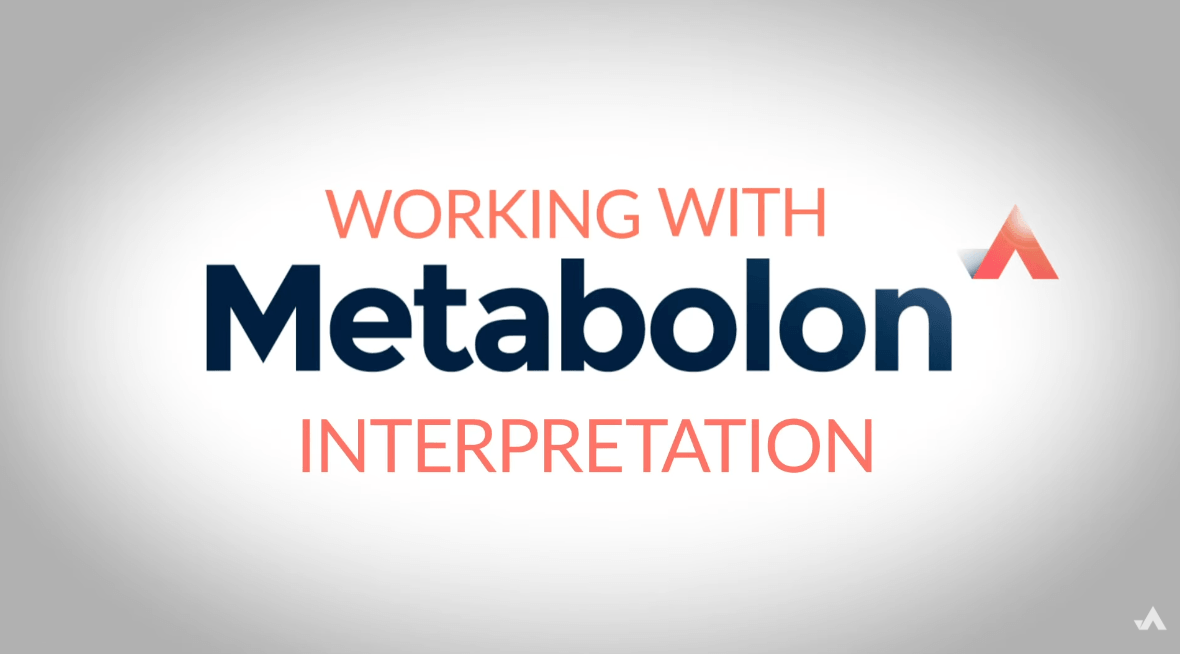 interpretation video