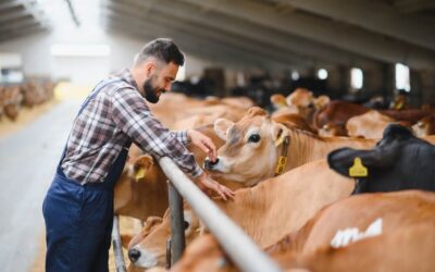 Animal Husbandry