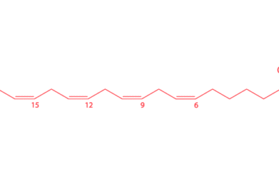 Stearidonic Acid