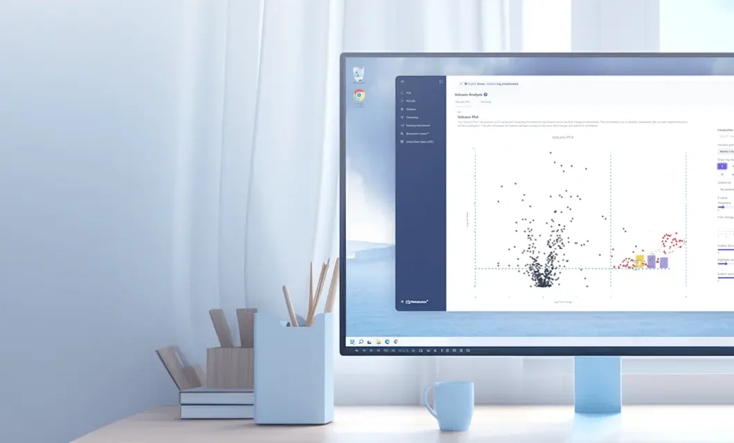 IBP software on a desktop computer